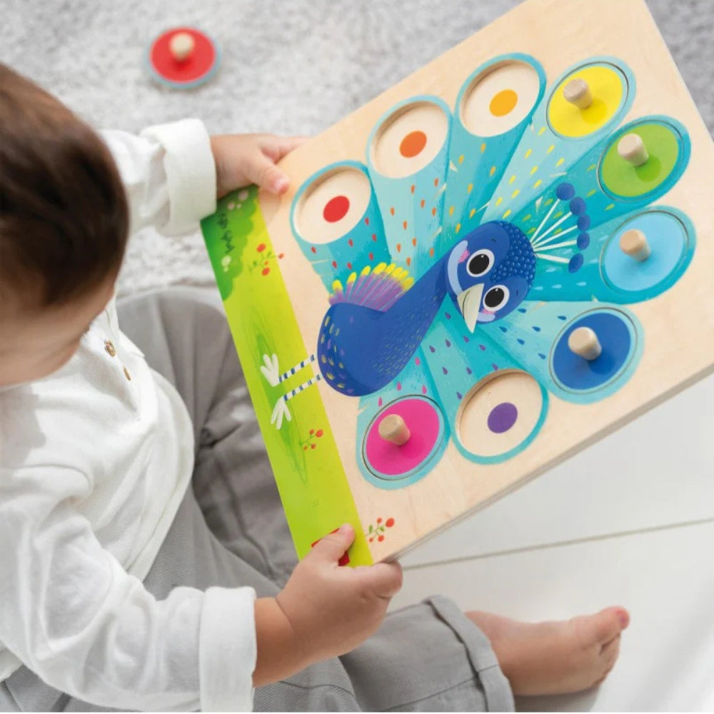 Rompecabezas de Madera Goula para Niños +2 años | Variados Diseños