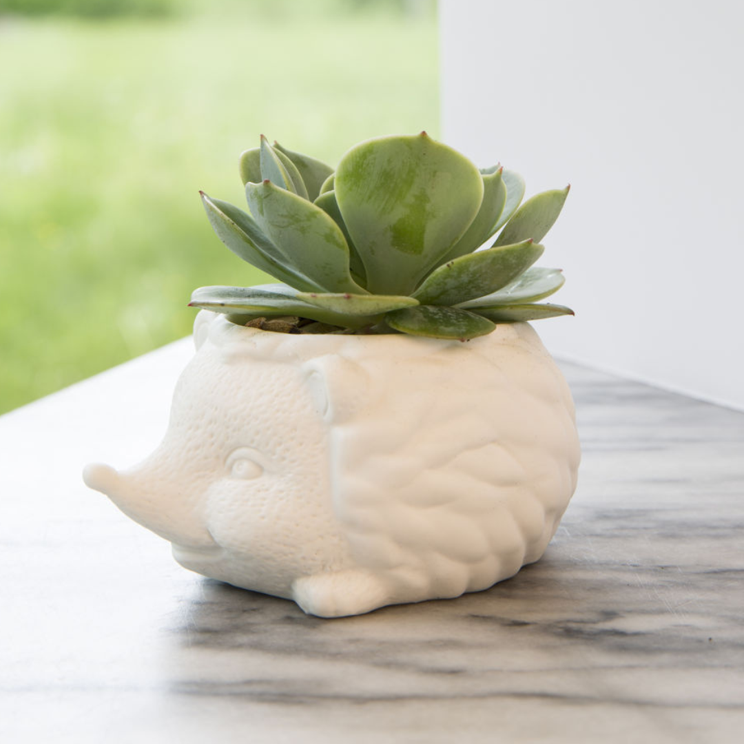 Productos de jardinería de UNNI, incluyendo macetas, herramientas y accesorios para cuidar y embellecer tu jardín o terraza