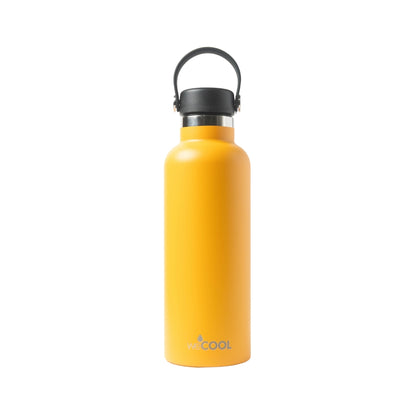 Botella térmica de acero inoxidable 650ml, resistente a golpes y con tapa hermética.