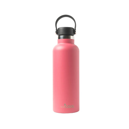 Botella térmica de acero inoxidable 650ml, resistente a golpes y con tapa hermética.