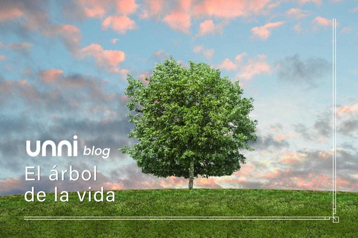 El árbol de la vida, un símbolo de bienestar, equilibrio y conexión para tu día a día.