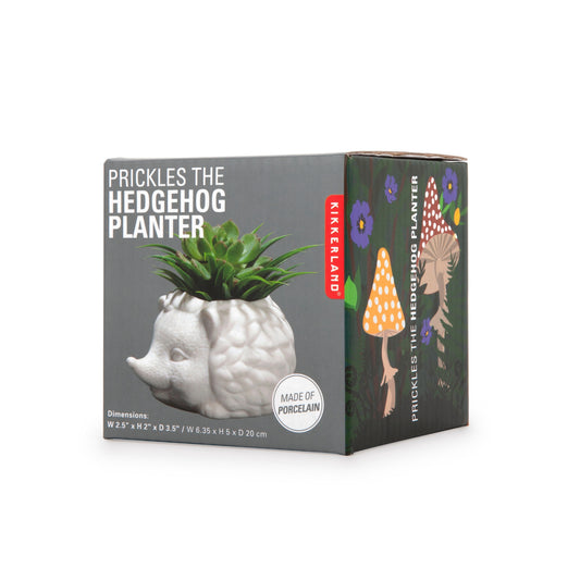 Macetita en forma de erizo de cerámica, ideal para plantas pequeñas y como decoración de escritorio.