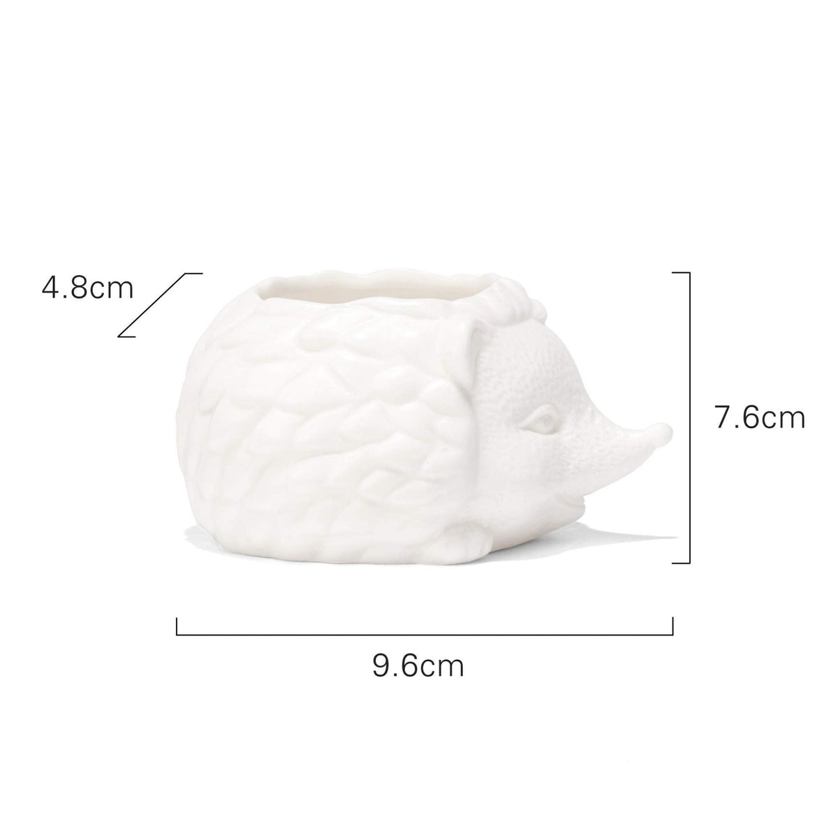 Macetita en forma de erizo de cerámica, ideal para plantas pequeñas y como decoración de escritorio.